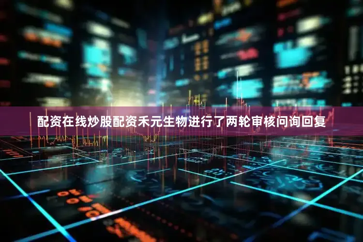 配资在线炒股配资禾元生物进行了两轮审核问询回复