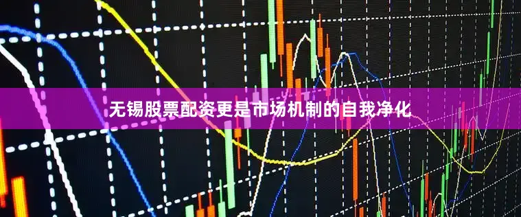 无锡股票配资更是市场机制的自我净化