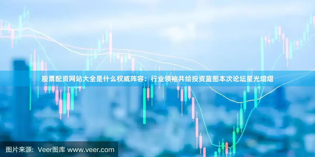 股票配资网站大全是什么权威阵容：行业领袖共绘投资蓝图本次论坛星光熠熠