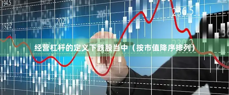 经营杠杆的定义　　下跌股当中（按市值降序排列）